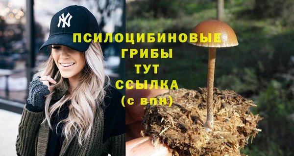 прущая мука Дмитровск