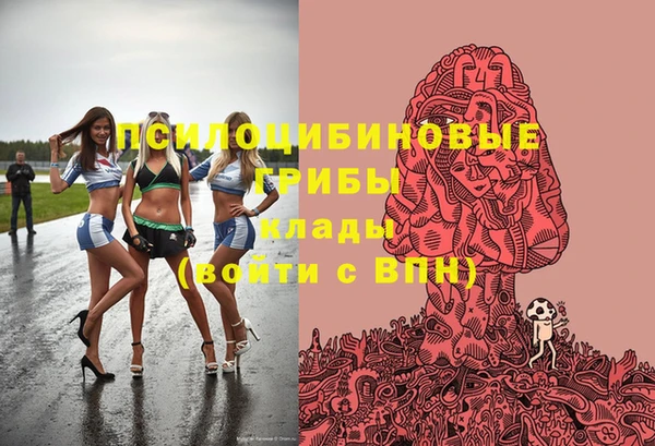 мдпв Ельня