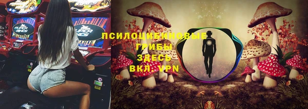 герыч Дмитриев